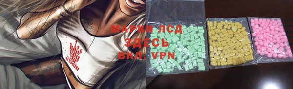 хмурый Алзамай