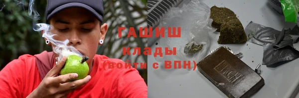 хмурый Алзамай