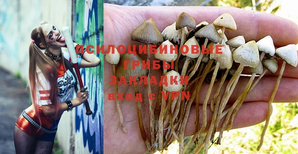 хмурый Алзамай