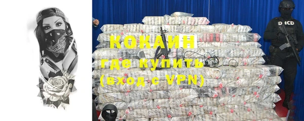хмурый Алзамай