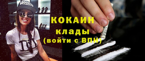 кокс Алексин