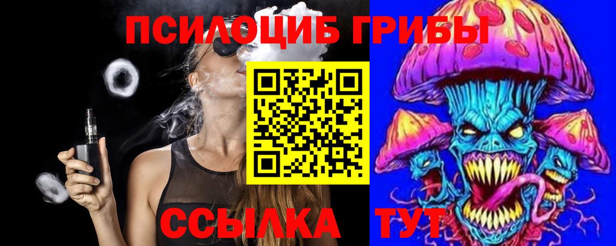 Гурьевск  Псилоцибиновые грибы прущие грибы  Вход с VPN 